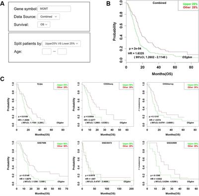 OSgbm: An Online Consensus Survival Analysis Web Server for Glioblastoma